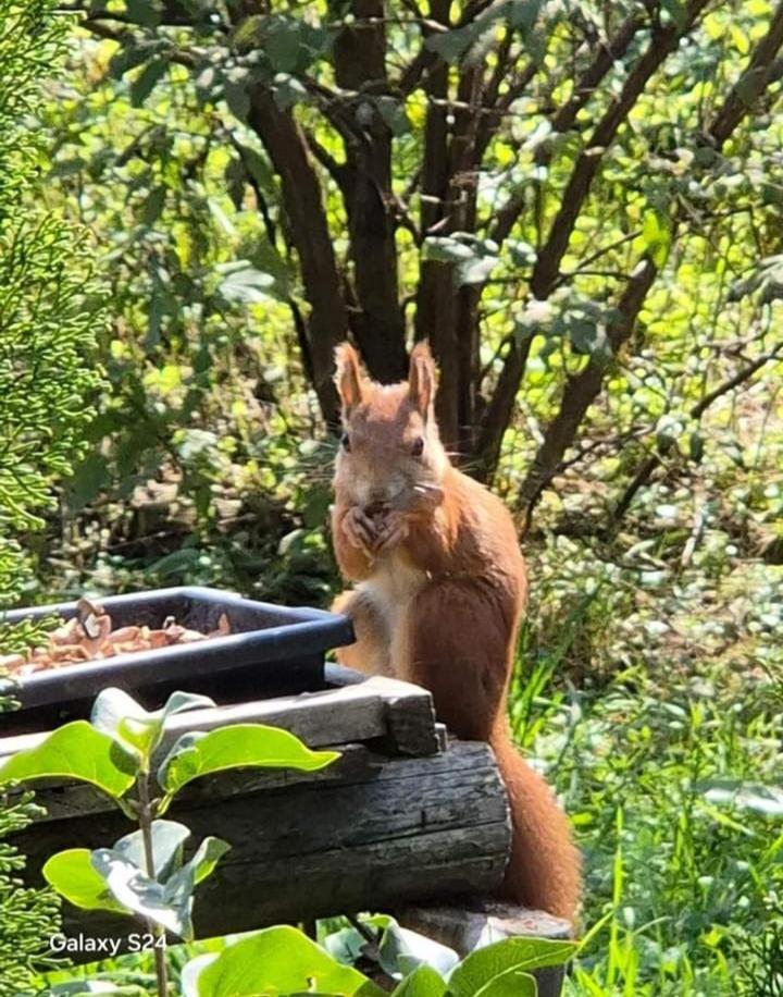 Andilak vendégház Sintimbru-Bai Esterno foto