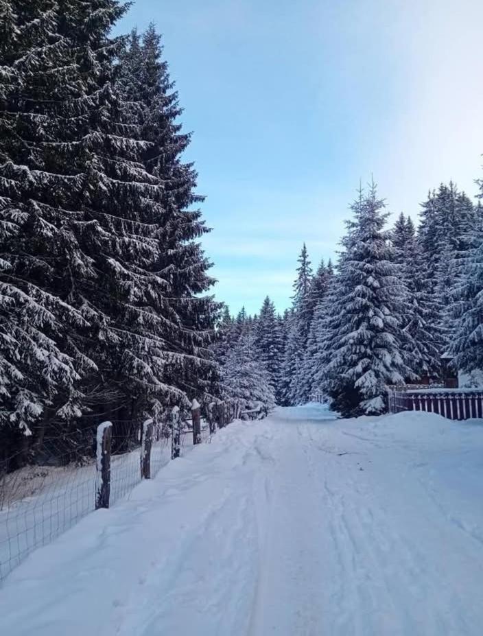 Andilak vendégház Sintimbru-Bai Esterno foto